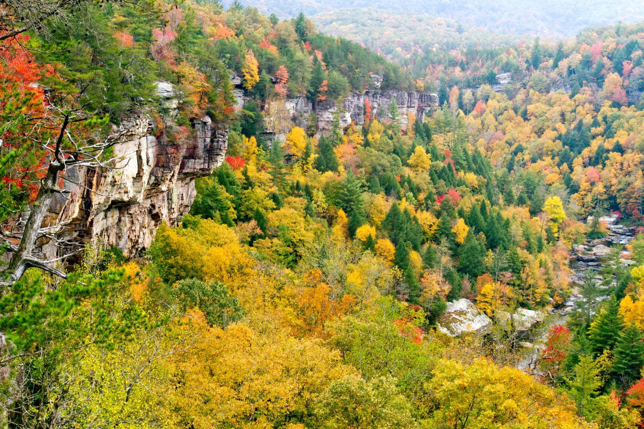 Obed Wild & Scenic River